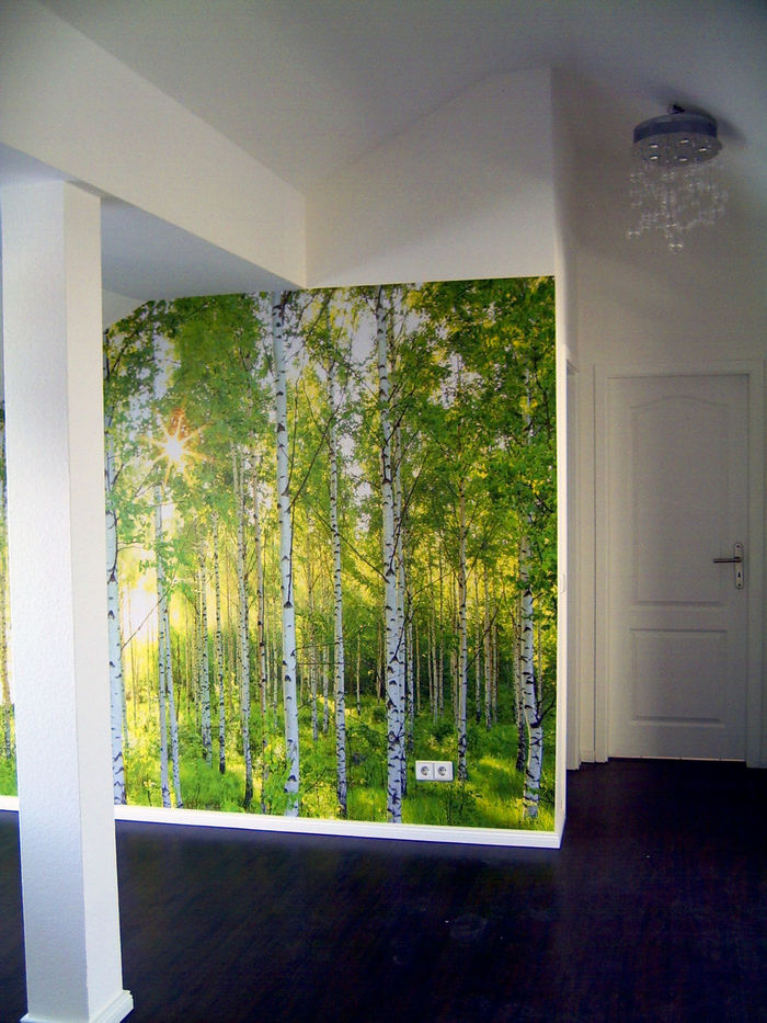 Gästewohnung mit Fototapete